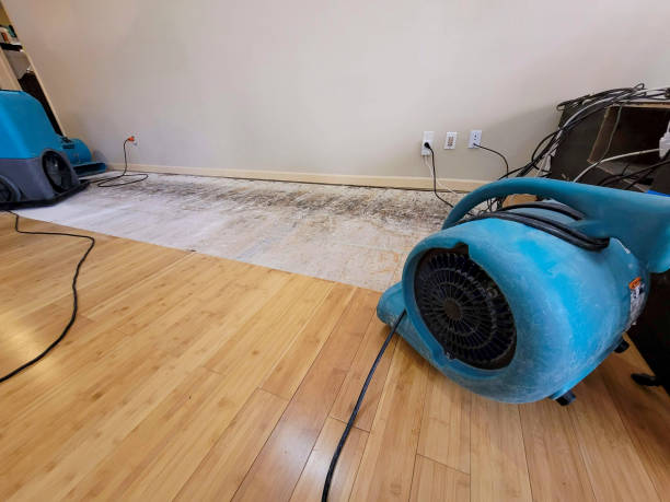 Professional Water Removal technician working in Monroe, LA